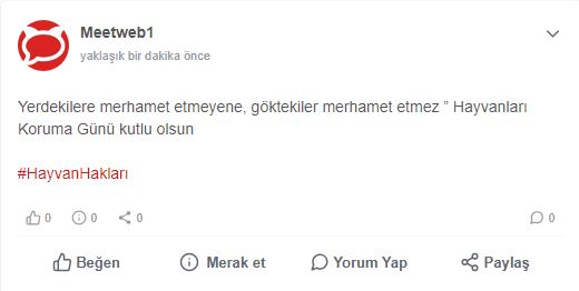 Etiket 